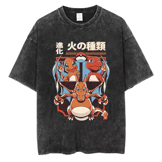 AJS - Pokemon Dracaufeu Collection